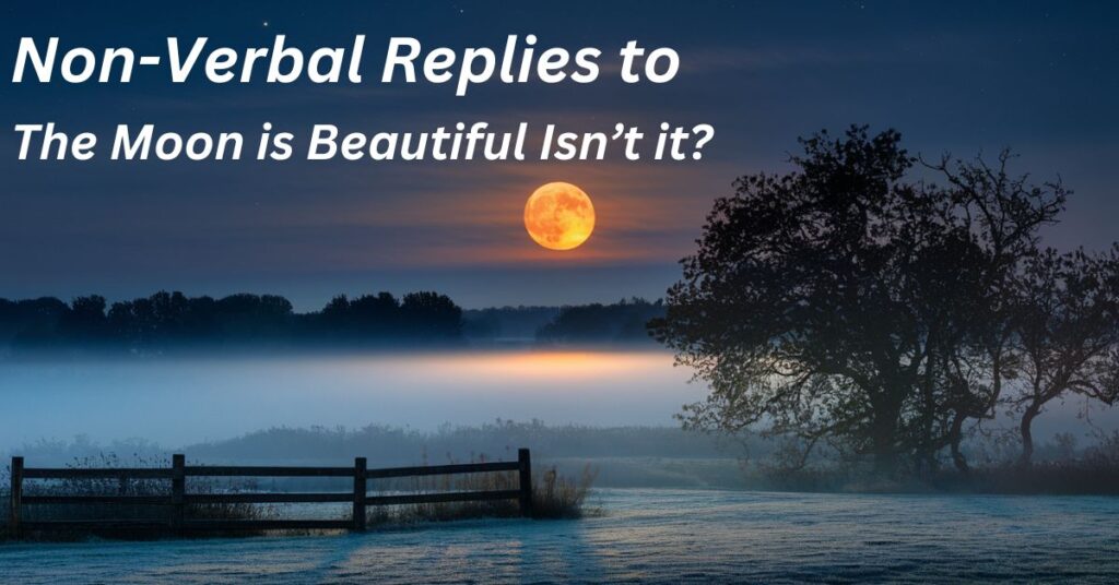 Non-Verbal Replies to ‘The Moon is Beautiful Isn’t it’