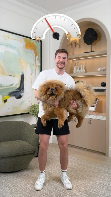 MrBeast Age: Find Out How Old the YouTube Star Is! - English Recaps