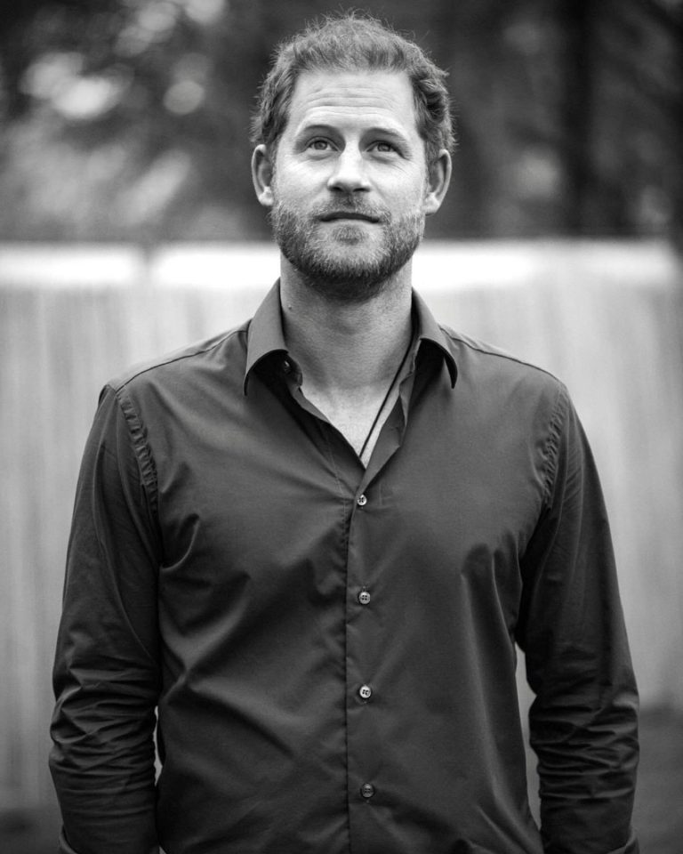 PRINCE HARRY DUKE OF SUSSEX FULL NAME LAST NAME visual data 8