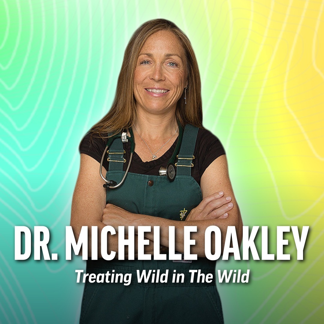 Dr. Michelle Oakley Biography